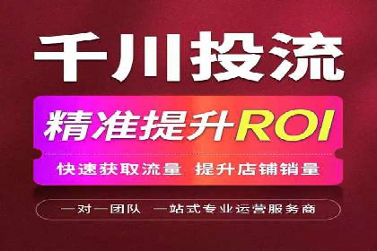 竞价广告的投放策略与效果评估——以一成功企业为例